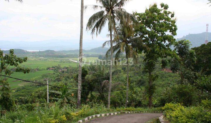 Dijual Murah Rumah Lama Hitung Tanah Di Daerah Pelabuhan Ratu 2