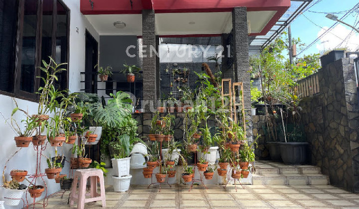 Rumah Mewah Di Rawasari Cempaka Putih Jakarta Timur 2