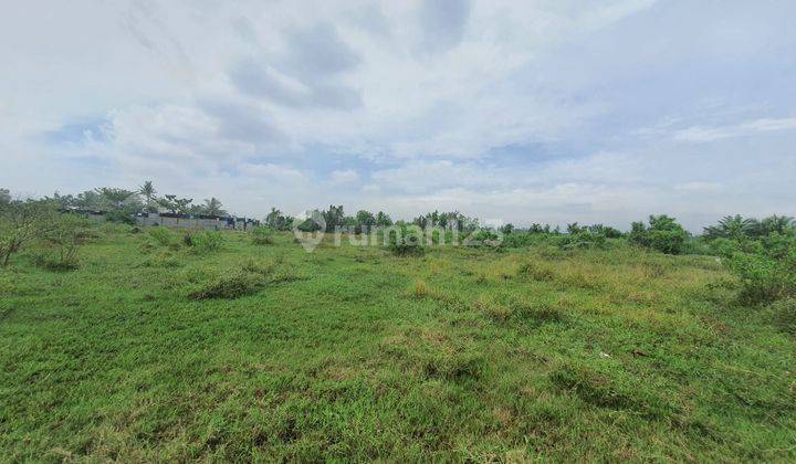 Dijual Tanah Jl. Besar Hamparan Perak 1