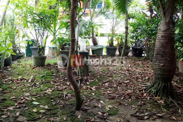 Disewakan Rumah di Anggrek Sari Cluster Alexandria 2