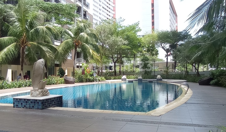 2BR City View Apartment in Silkwood Alam Sutera Near Mall