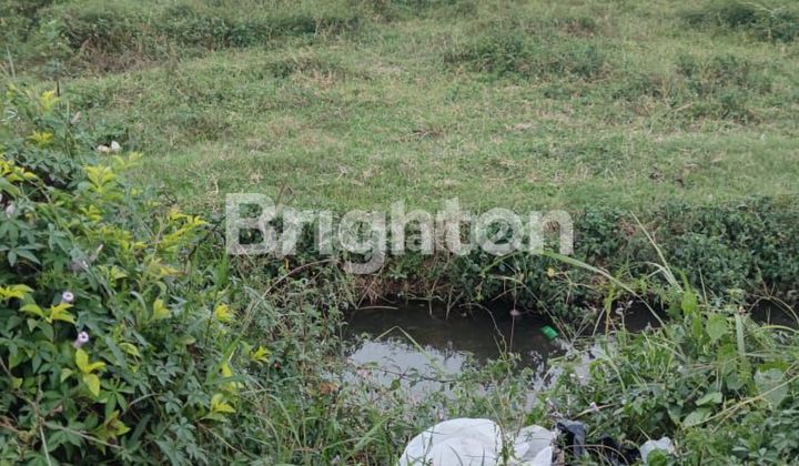 TANAH STRATEGIS POROS JALAN RAYA KEBONAGUNG COCOK UTK GUDANG