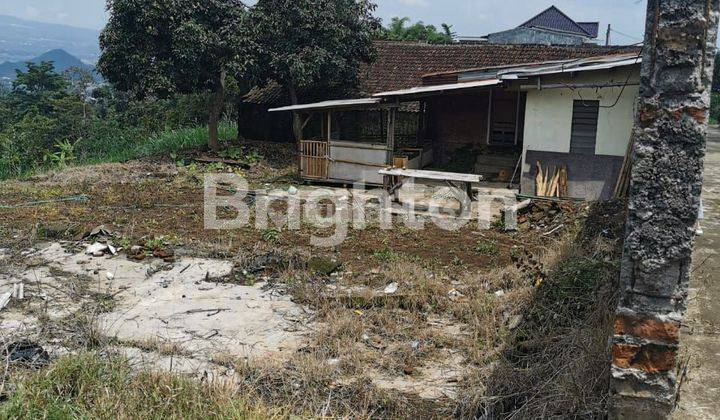 TANAH DEKAT UIN POROS JALAN  CEPAT DIBAWA HARGA PASAR COCOK UTK KOS DLL