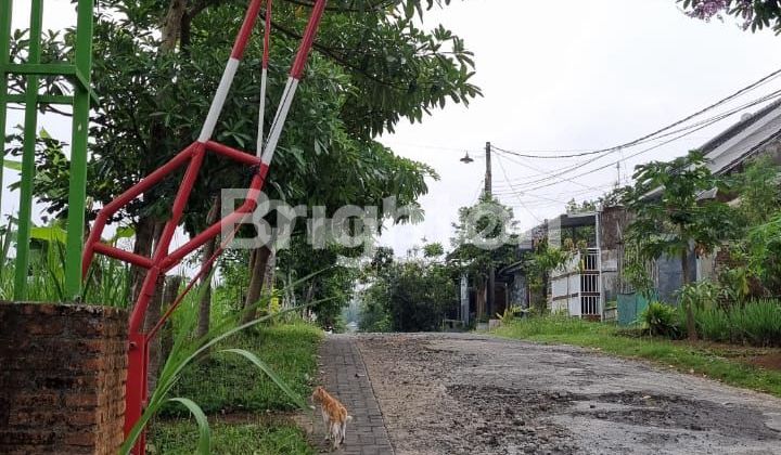 CHEAP LAND NEAR TOLL EXIT IN BURING HOUSING AREA, MALANG CITY