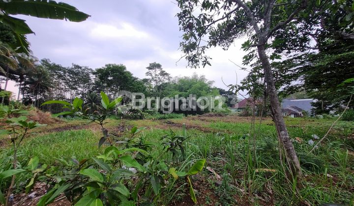 CHEAP LAND NEAR TOLL EXIT IN BURING HOUSING AREA, MALANG CITY