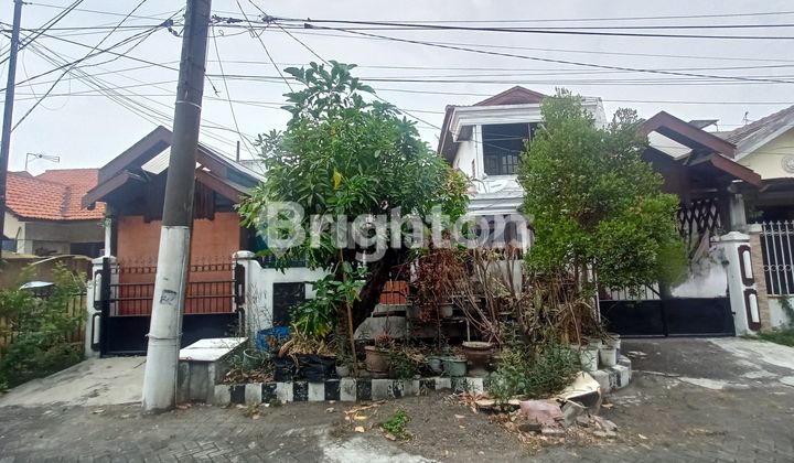 RESIDENTIAL HOUSE FOR SALE QUICK CHEAP KUTISARI ROW 3 CAR STREET 2