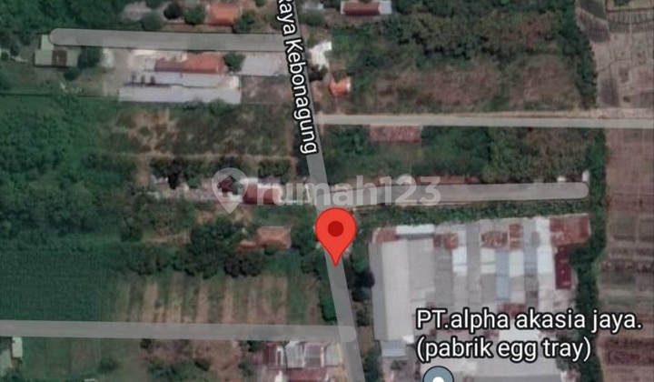 Tanah Kebonagung Mojokerto Posisi Pojok Berbentuk Kotak 3