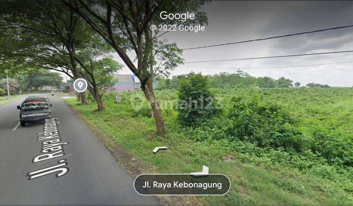 Tanah Kebonagung Mojokerto Posisi Pojok Berbentuk Kotak 6