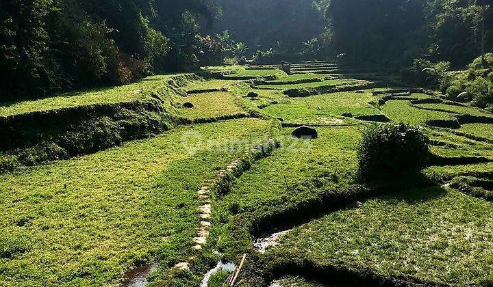 Tanah Kantong Subur dengan Mata Air  Di Cisarua 1