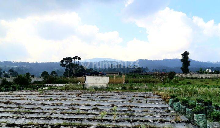 Fantastic square and flat land for agro tourism with city view 1