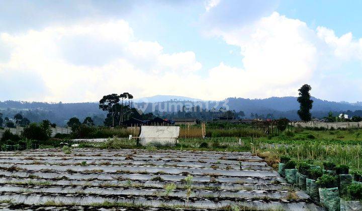 Tanah datar dengan full city & mountain views 2
