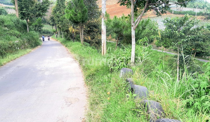 Land for Tourism  9