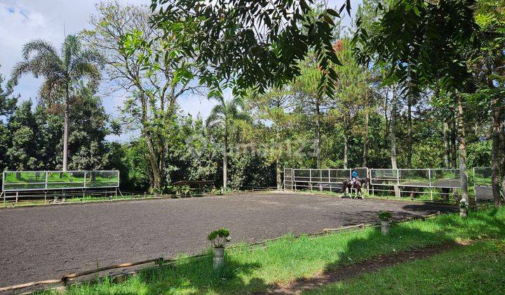 Equestrian Horse Stud Ranch Jalan Maribaya, Cibodas, Lembang 2