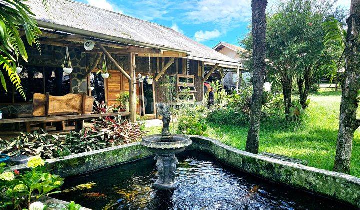 Equestrian Horse Stud Ranch Jalan Maribaya, Cibodas, Lembang 1