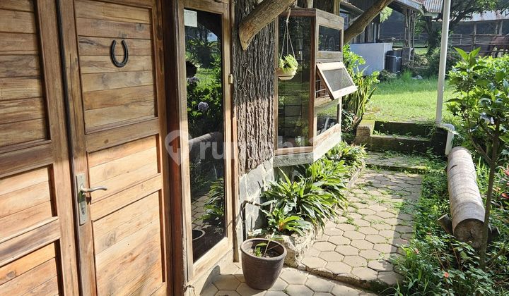 Equestrian Horse Stud Ranch Maribaya Street, Cibodas, Lembang 2