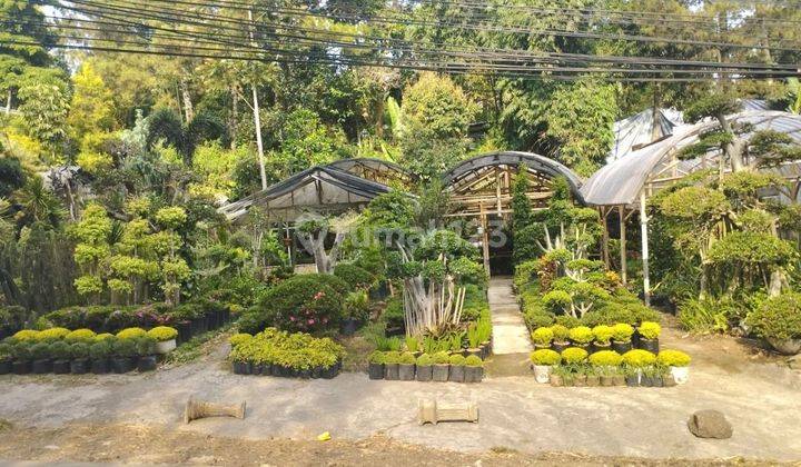 Prime Location Land Sersan Bajuri Dekat Graha Puspa 1