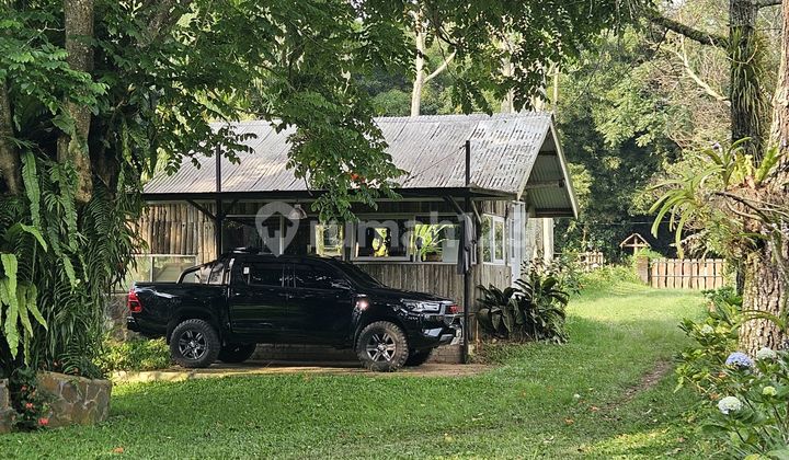 Equestrian Horse Stable & Villa