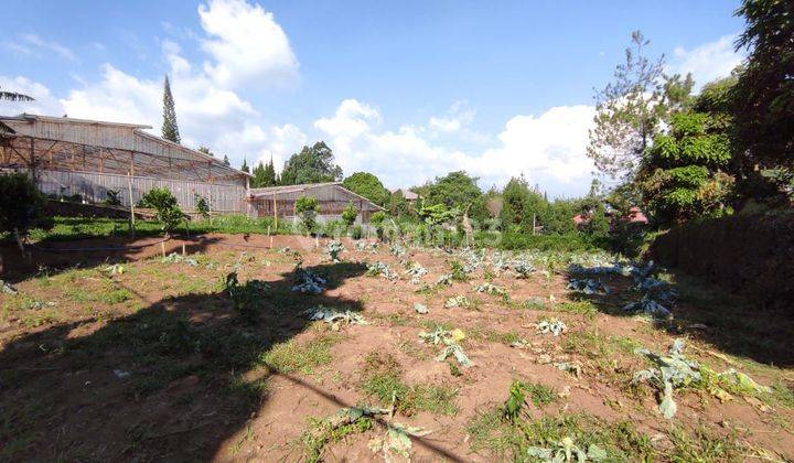 Kavling Cocok Untuk Rumah Kebun, Lembang Asri, Lembang, Bandung 1