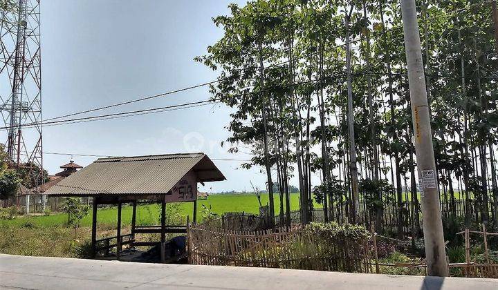 Tanah Sawah Cocok Untuk Perumahan atau Gudang Sapan Majalaya 1