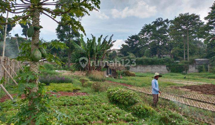 Tanah Cocok Untuk Villa Kebun Ada Mata Air Sersan Bajuri Lembang 2