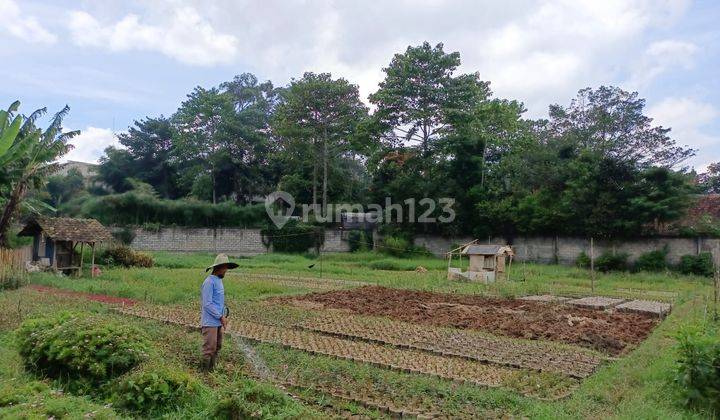 Tanah Cocok Untuk Villa Kebun Ada Mata Air Sersan Bajuri Lembang 1