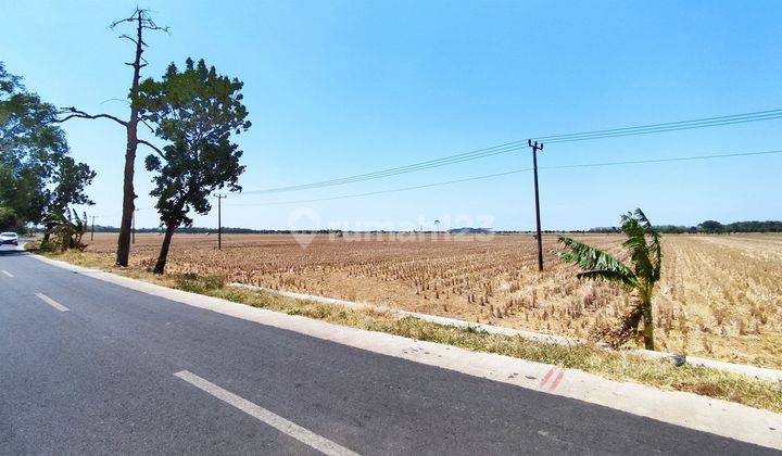 Tanah Sawah Dengan View Bandara Kertajati Majalengka 1