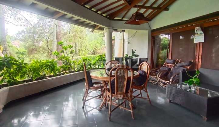 Rumah Luas Asri Ala Villa Ada Kolam Renang Gegerkalong Bandung 2