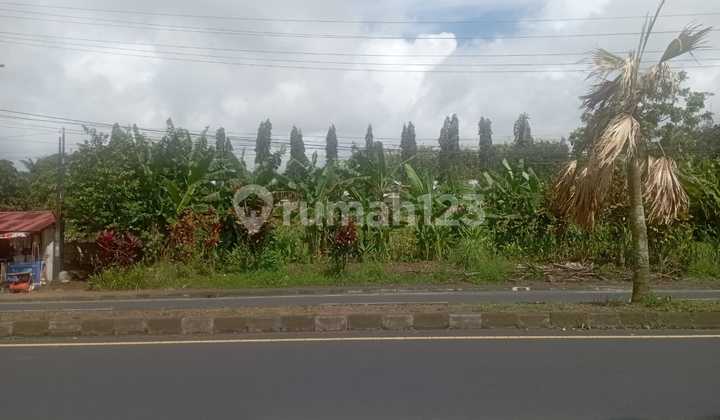 Dijual Tanah Strategis Paniki Bawah Manado Dijual Tanah Strategis Paniki Bawah Manado