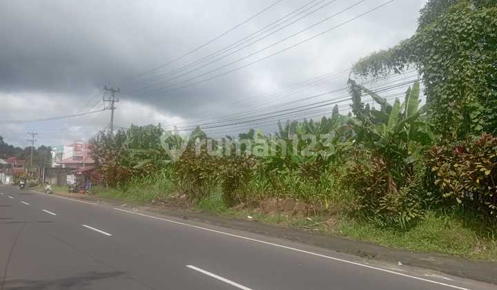 Dijual Tanah Strategis Paniki Bawah Manado Dijual Tanah Strategis Paniki Bawah Manado