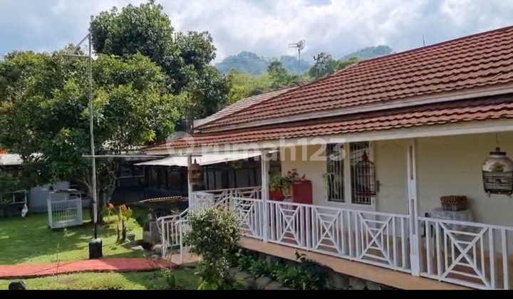 Villa Cipanas Bonus Orange Orchard and Guava Orchard