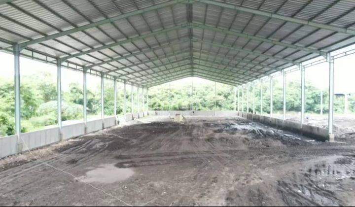 Gudang Siap Pakai di Jatake Tangerang Lokasi Strategis Nego 1