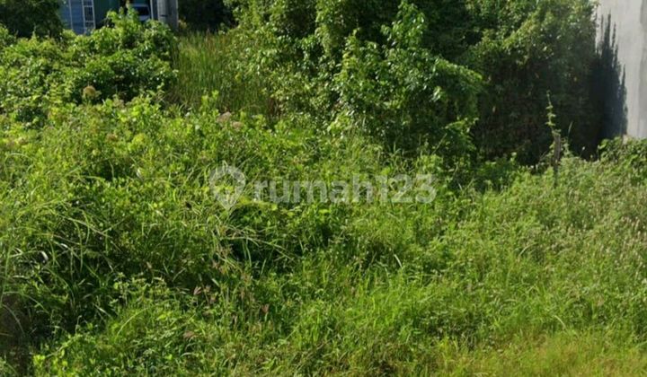 Tanah Kavling Gunung Anyar Tambak 4 Jutaan Permeter