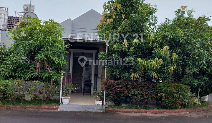 Rumah Minimalis Siap Huni Silver Clove Di Citra Garden 1