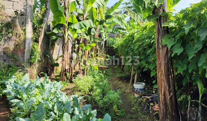 Ready-to-Build Land in Setiabudi Regency Bandung