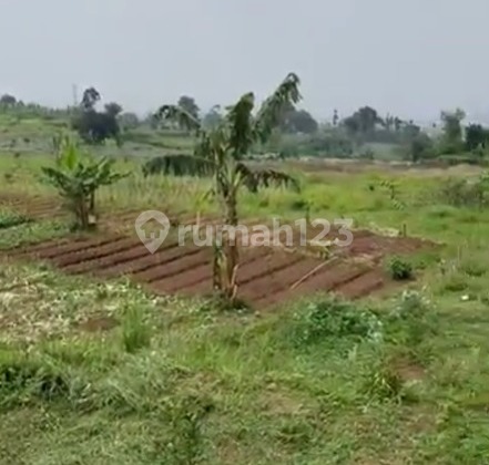 Kavling Luas Cocok untuk tempat wisata view Gunung & kota Bandung di Kolonel Masturi Kavling Luas Cocok untuk tempat wisata view Gunung & kota Bandung di Kolonel Masturi