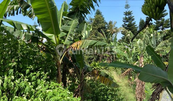 Tanah Siap Bangun di Padasaluyu Bandung Tanah Siap Bangun di Padasaluyu Bandung