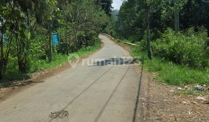 Rare Item! Tanah Super Luas 12,5 Ha Bukit Pakar Utara