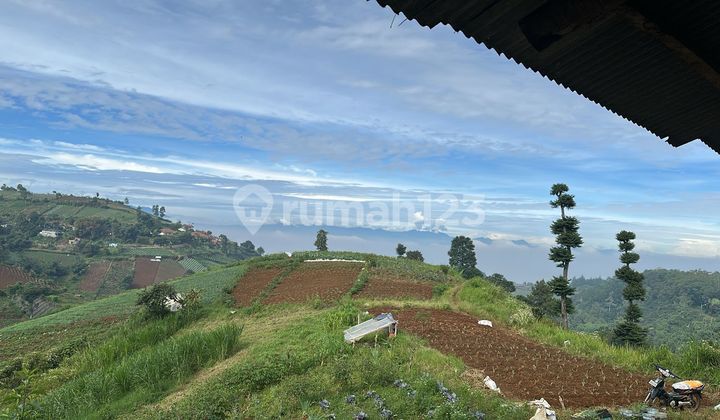 KAVLING YANG COCOK UNTUK GLAMPING DAN TEMPAT WISATA