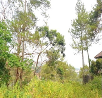 Land Investment of 1,500 m² in North Pakar Hill – City & Nature Views