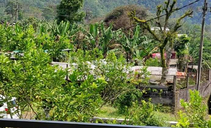 Tanah di Jalan Raya Propinsi Nongkojajar, Kec. Purwodadi Pasuruan, Pasuruan SHM 13.540 m² 2