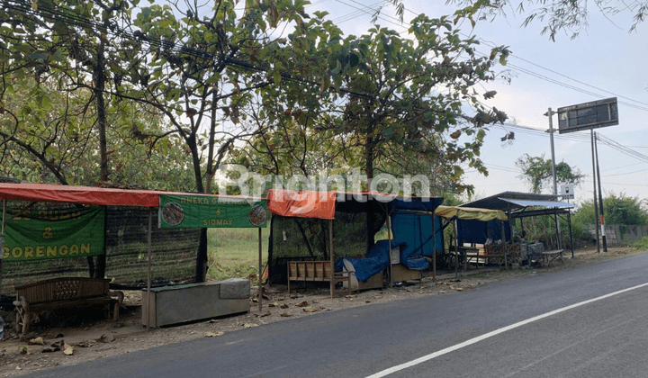 TANAH DI TUBAN NOL JALAN RAYA 1