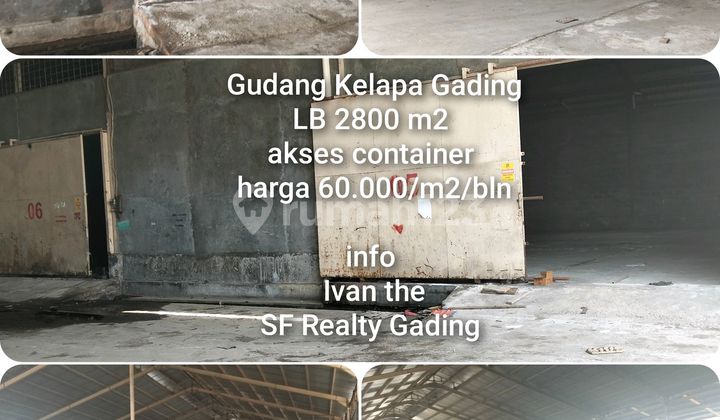 Gudang Kelapa Gading Klp Gading Disewa Dekat Dari Pelabuhan Priok Astra Otopart Bluebird Pool Dhl Expedisi. Gudang Kelapa Gading Klp Gading Disewa Dekat Dari Pelabuhan Priok Astra Otopart Bluebird Pool Dhl Expedisi.