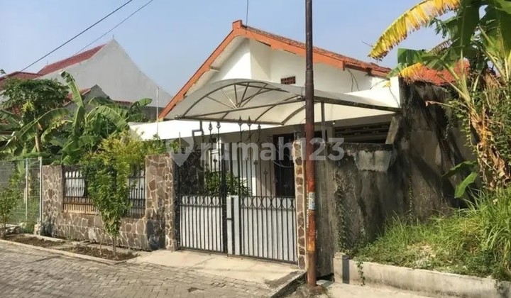 Mojo Klanggru Dekat Unair & ITS 2