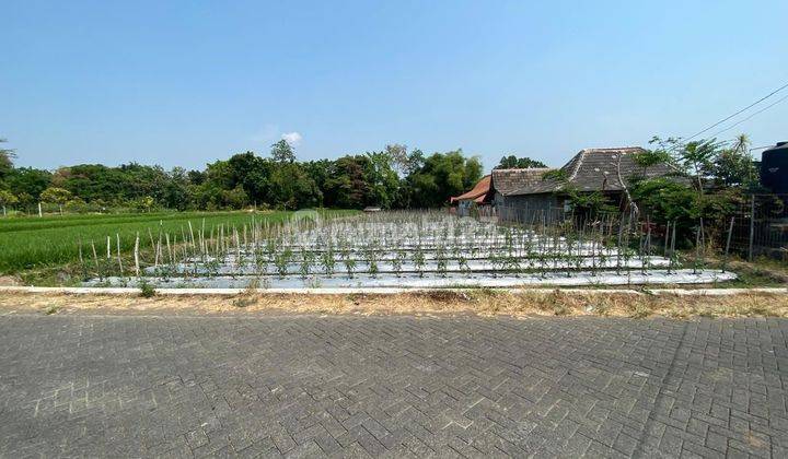 Dijual Tanah di Ds. Plintahan Kec Panddan Pasuruan 1