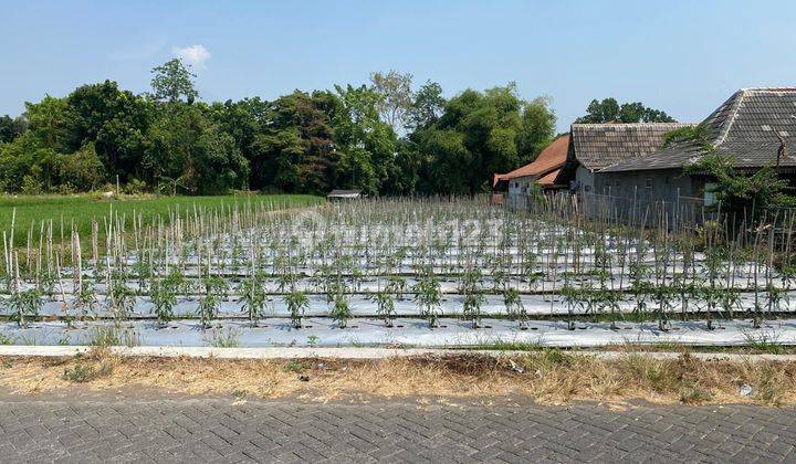 Dijual Tanah di Ds. Plintahan Kec Panddan Pasuruan 2