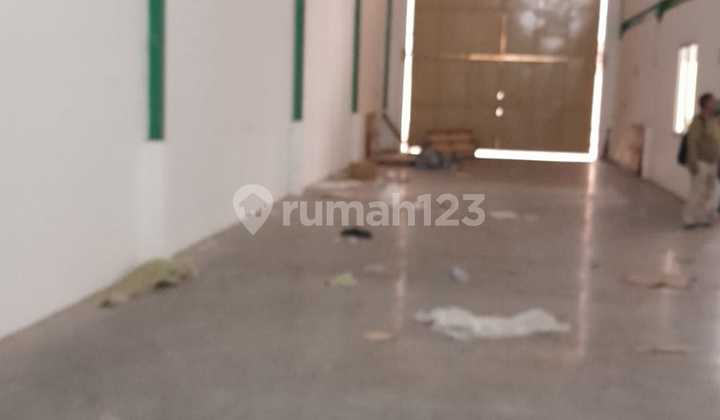 Disewakan Cepat Gudang Arcadia Daan.mogot