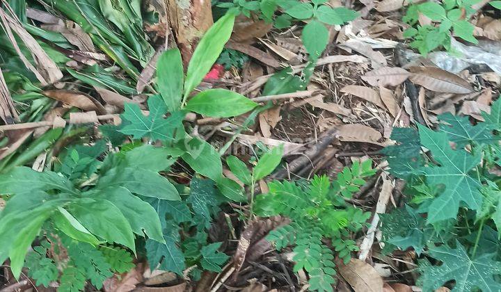 MURAH, BUTUH UANG, KAVLING BENTUK KOTAK  9