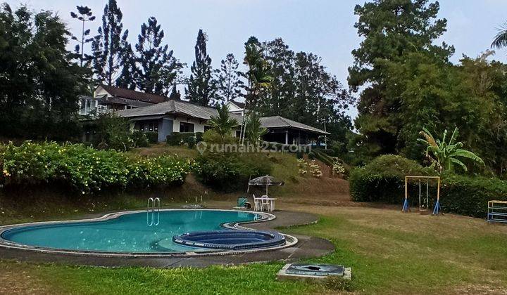 Super Murah, Hanya 1.6 Jutaan/M, Villa Puncak Hitung Tanah Saja, Free Bangunan, Luas Sekali, View Gunung, Ada Pool 1