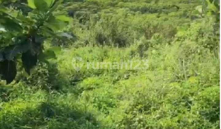 Bu, Murah, Lahan 100 Ha Di Sentul, Bogor