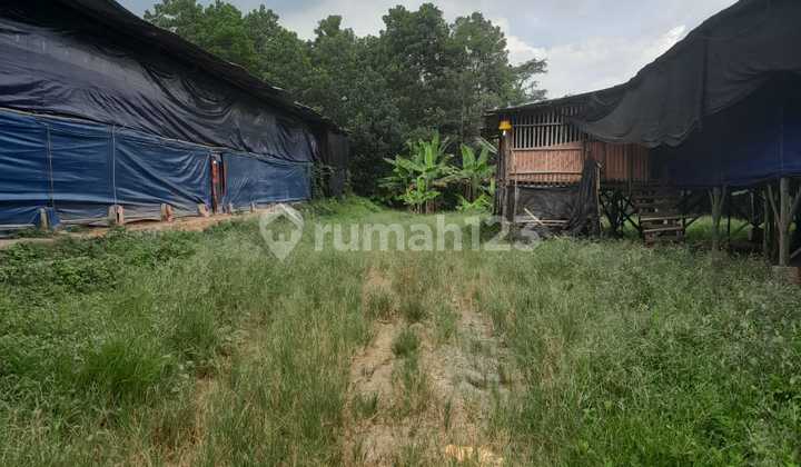 Sell Fast / Cheap Chicken Coop in Cariu Bogor